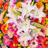 축하화환 이미지