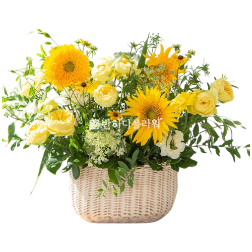 꽃바구니 이미지